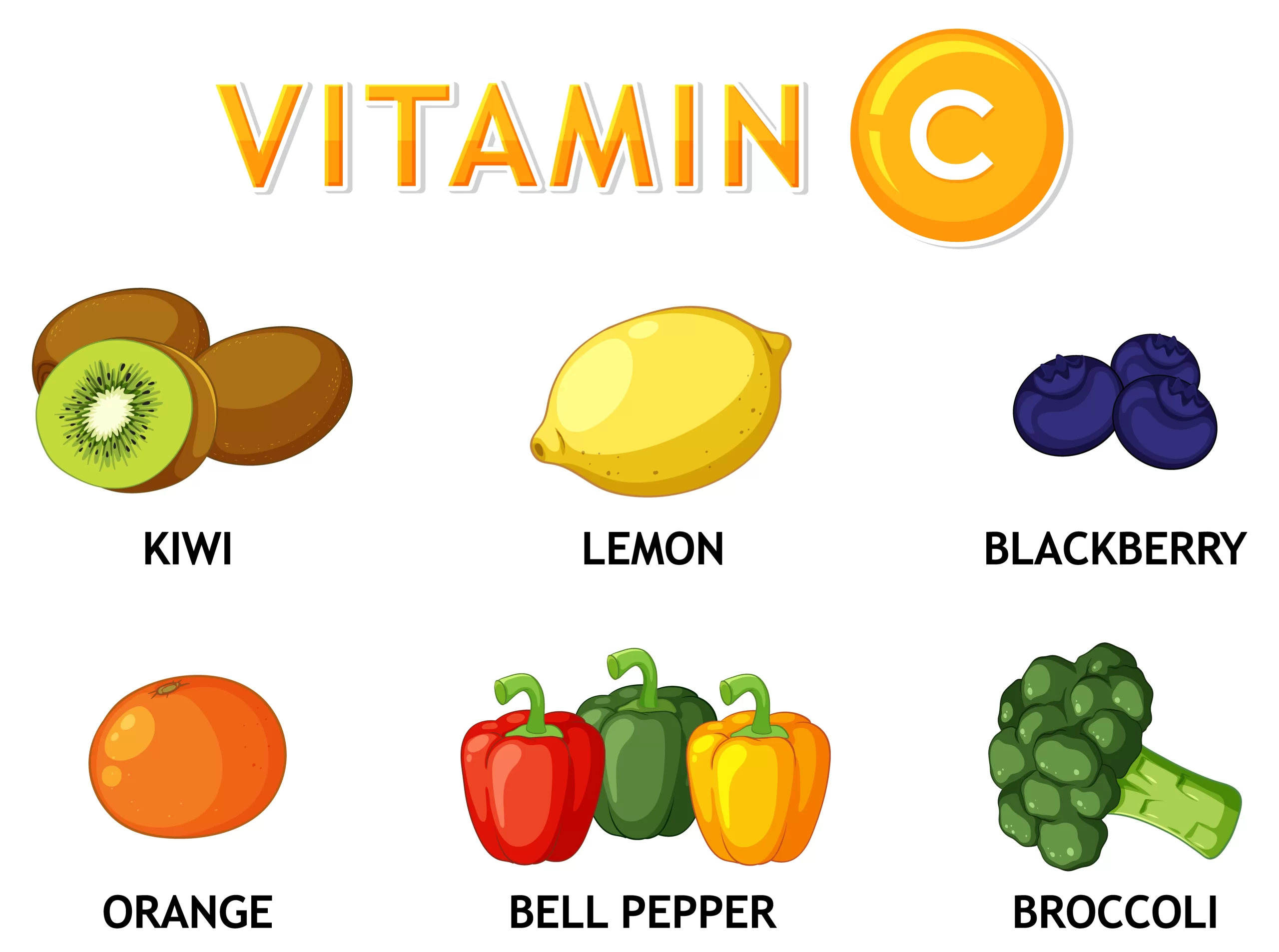 Colorful drawing of vitamin C-rich foods: kiwi, lemon, blackberry, orange, red and green bell peppers, and broccoli, with “Vitamin C” text above
