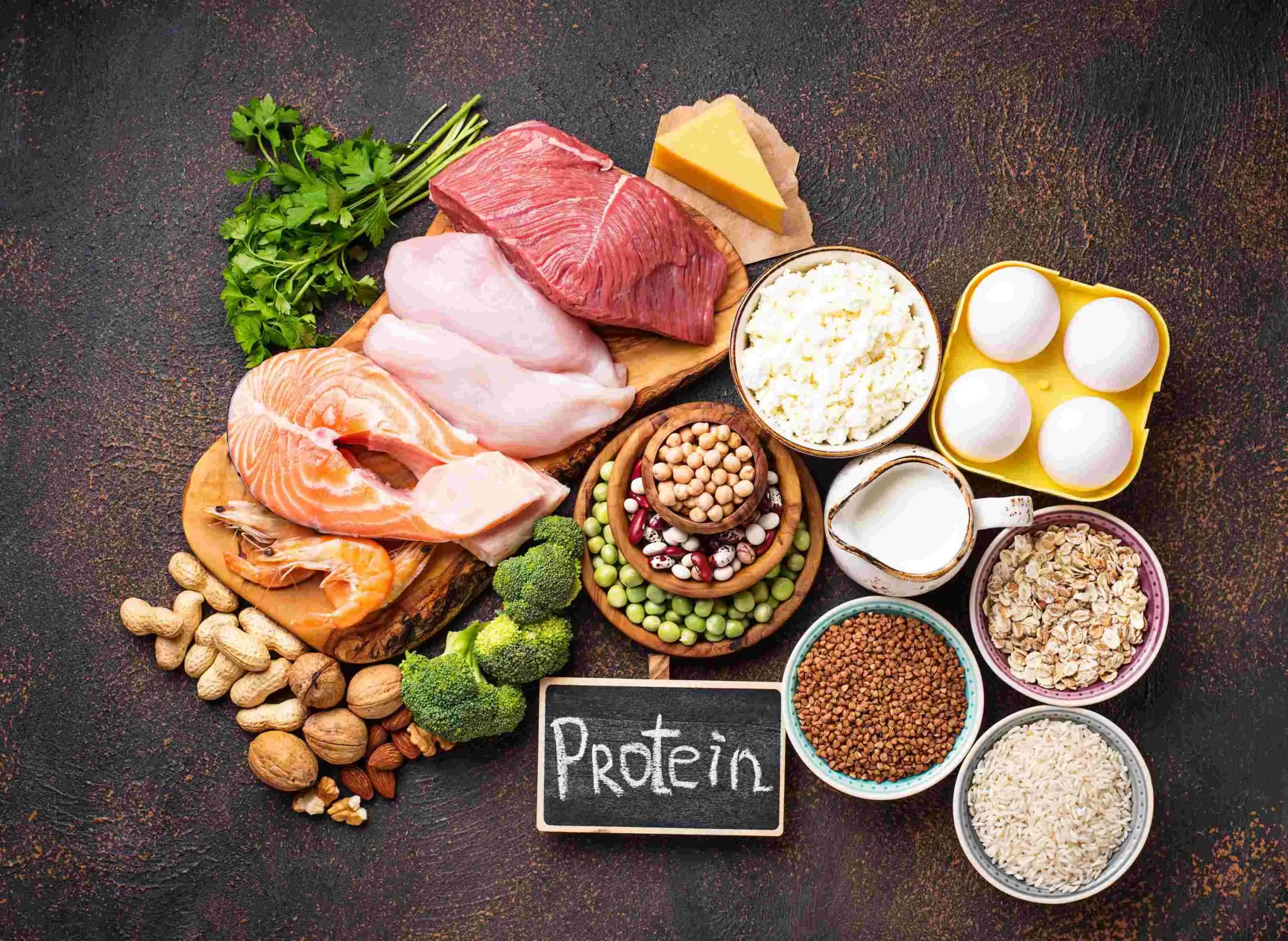 Various protein sources including salmon, shrimp, chicken, beef, cheese, eggs, milk, legumes, nuts, seeds, broccoli, oats, rice, and buckwheat, with a chalkboard labeled “Protein.