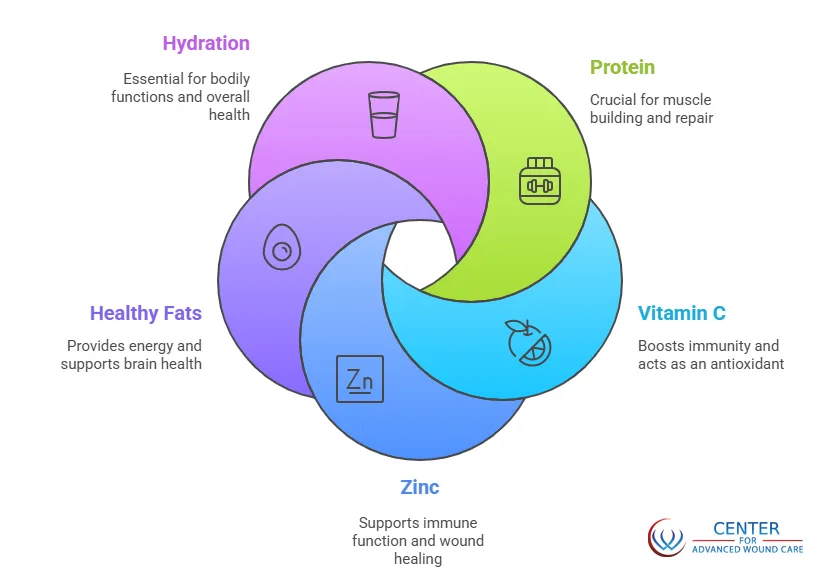 Infographic showing key nutrients for wound healing, including protein, vitamin C, zinc, healthy fats, and hydration, with descriptions for each element.